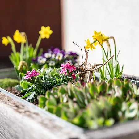 Nyaraló Hiska 231, 2 Karti Za Terme 3000, Alsómarác