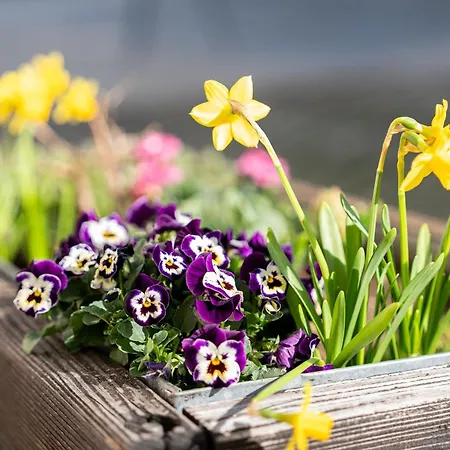 Hiska 231, 2 Karti Za Terme 3000, Nyaraló