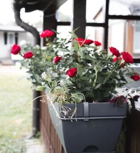 Moravske Toplice Hiska 231 - Kamp Terme 3000 - 2 Brezplacni Karti Za Kopalisce!